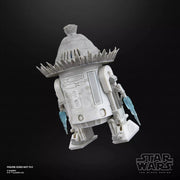 Ronin & R5-D56: Samurai Style