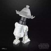 Ronin & R5-D56: Samurai Style