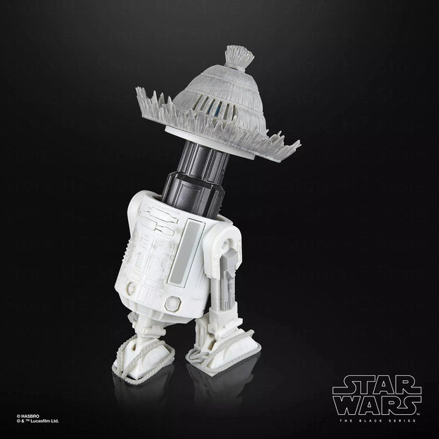 Ronin & R5-D56: Samurai Style