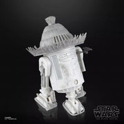 Ronin & R5-D56: Samurai Style