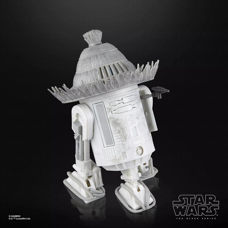 Ronin & R5-D56: Samurai Style