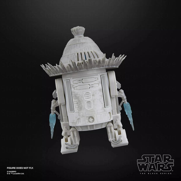 Ronin & R5-D56: Samurai Style