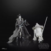 Ronin & R5-D56: Samurai Style