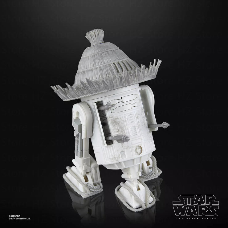 Ronin & R5-D56: Samurai Style