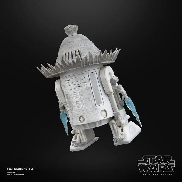 Ronin & R5-D56: Samurai Style
